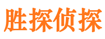 平桥市侦探调查公司